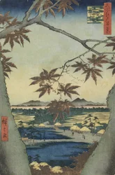 Die Ahornblätter von Mama, Tekona-Schrein und Tsugi-Brücke